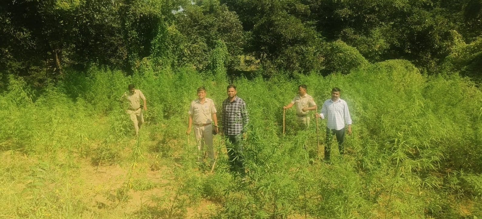 नशे पर 'जागृति' का मजबूत प्रहार