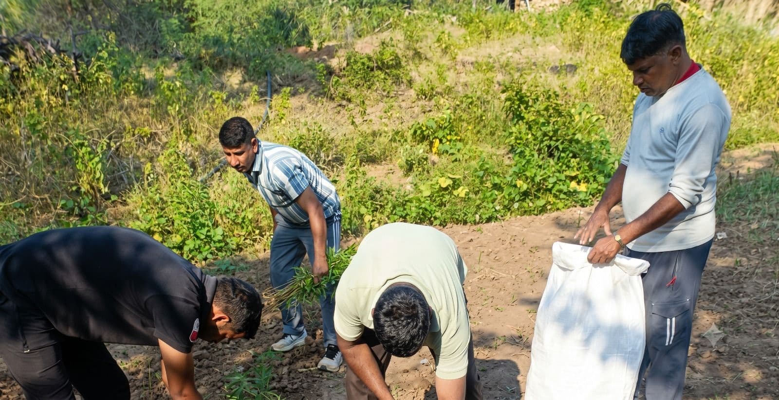 पहाड़ों में लहलहा रही थी नशे की ‘फसल’, पुलिस पहुंची तो मच गई खलबली; 11 क्विंटल से ज्यादा गांजा-भांग जब्त